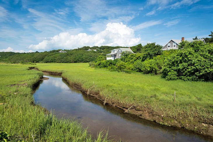 Creek on Martha's Vineyard