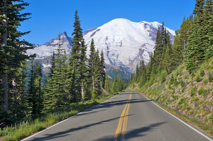 Road to Mt. Rainier