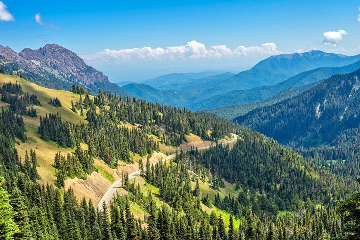 Road on Hurricane Ridge in Olympic National Park