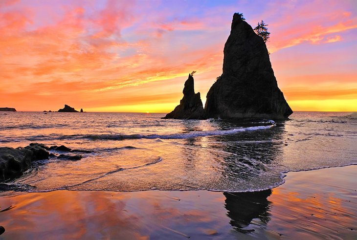 Sea stacks at sunset, Rialto Beach, Olympic National Park