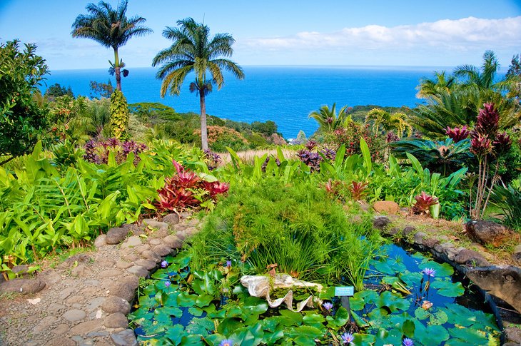 Jardins tropicaux à Maui