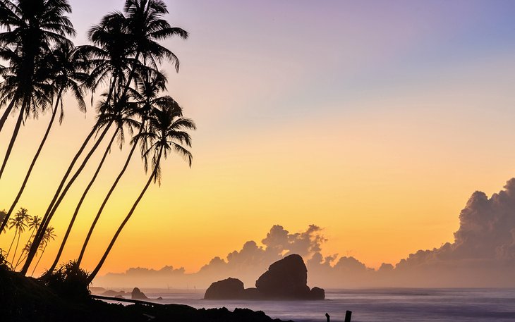 Lever de soleil sur une plage au Sri Lanka