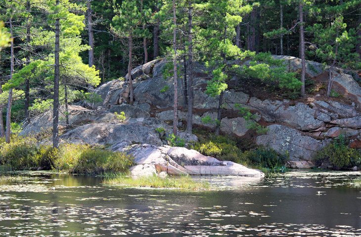 Cranberry Bog Trail