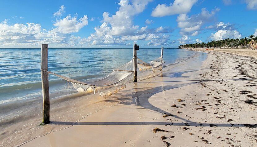 Palm-lined beach at Punta Cana, Dominican Republic