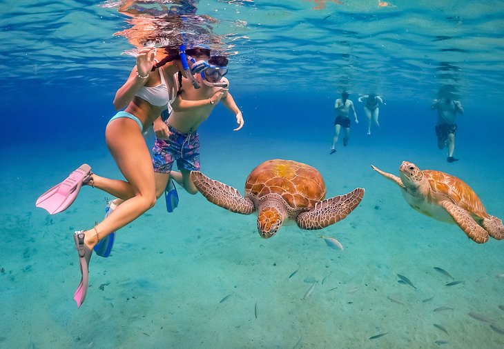 Snorkeling with sea turtles off the Caribbean island of Curacao