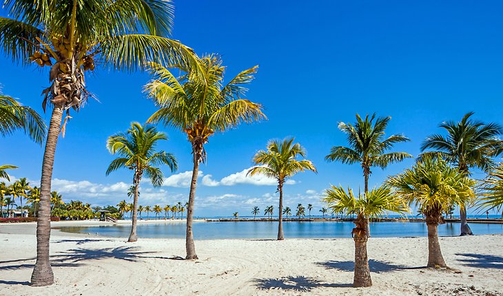 15 playas mejor valoradas en Miami, FL