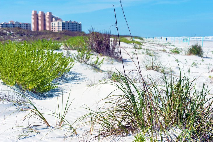 New Smyrna Beach