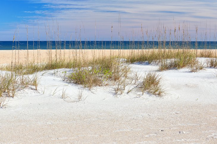 Anastasia State Park near St. Augustine