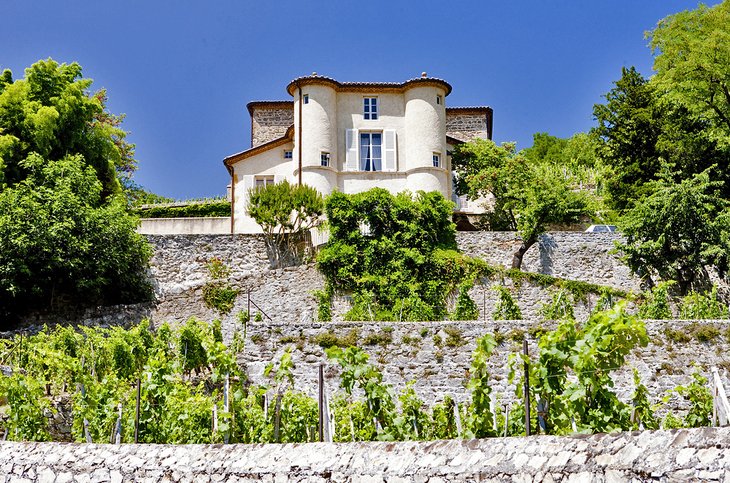 Chateau Grillet