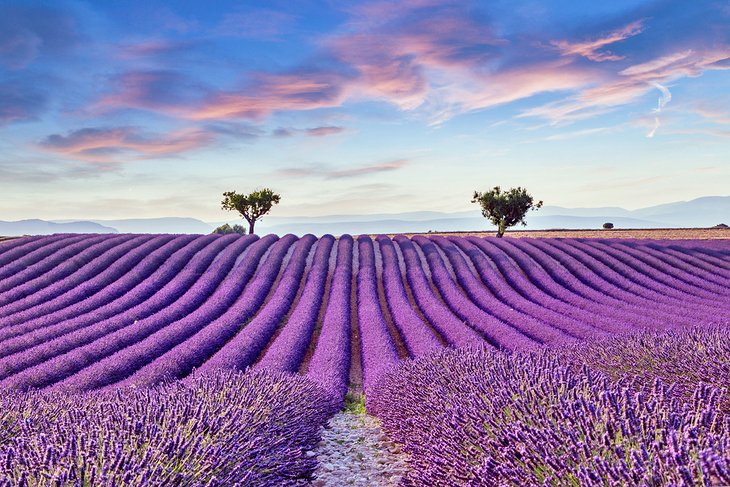 15 atracciones turísticas mejor valoradas en Francia