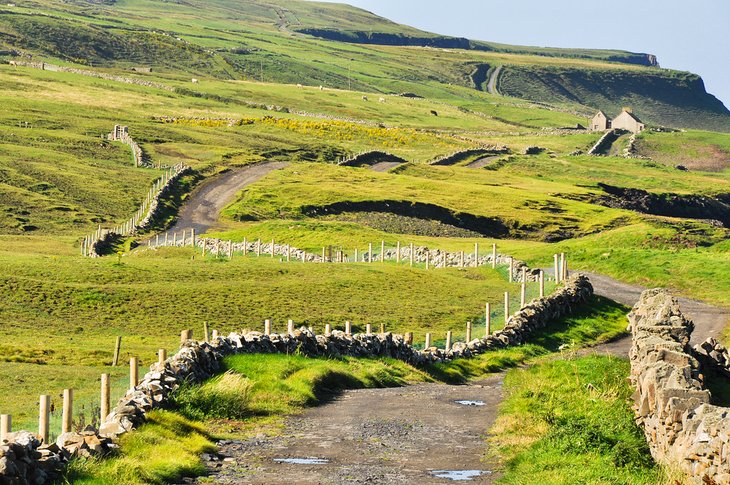 Road in County Clare near the Cliffs of Moher