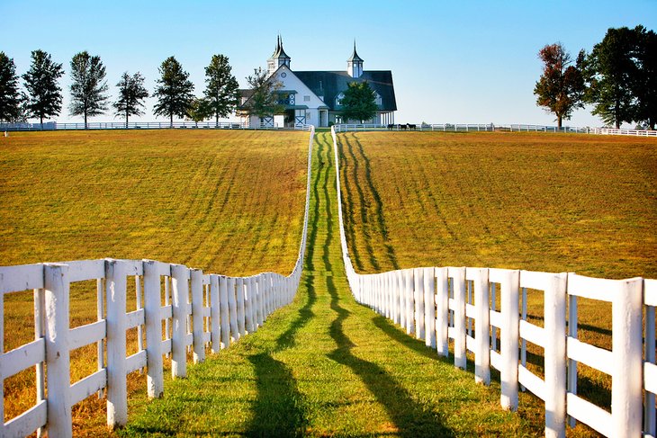 Horse farm on the Bluegrass Country Driving Tour