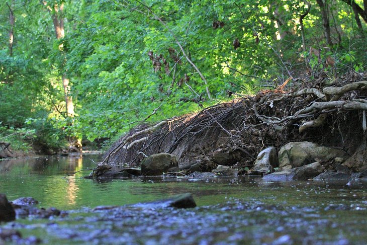 Creek in Elizabethtown, Kentucky