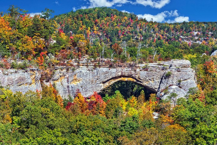 Arche rocheuse dans la forêt nationale de Daniel Boone