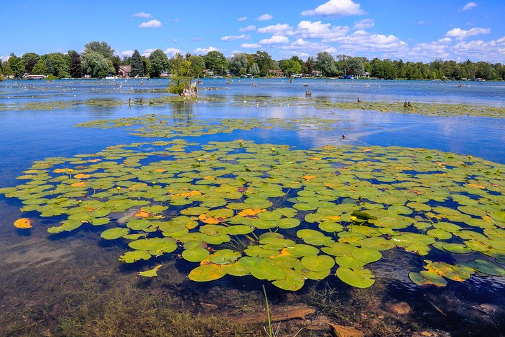 15 lagos mejor valorados en Michigan