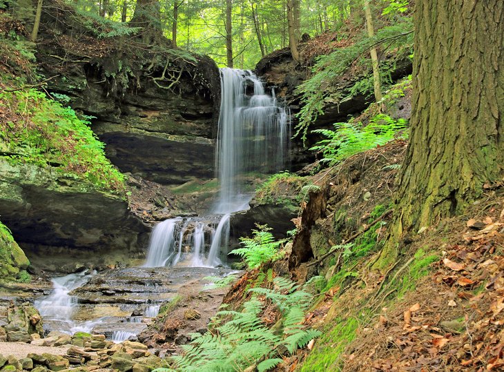 Horseshoe Falls