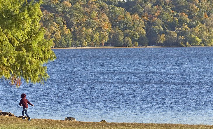 14 playas mejor valoradas en Missouri