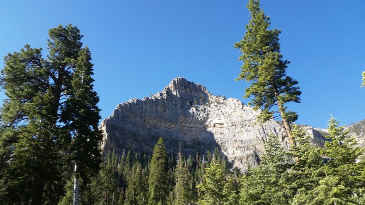 Mount Charleston