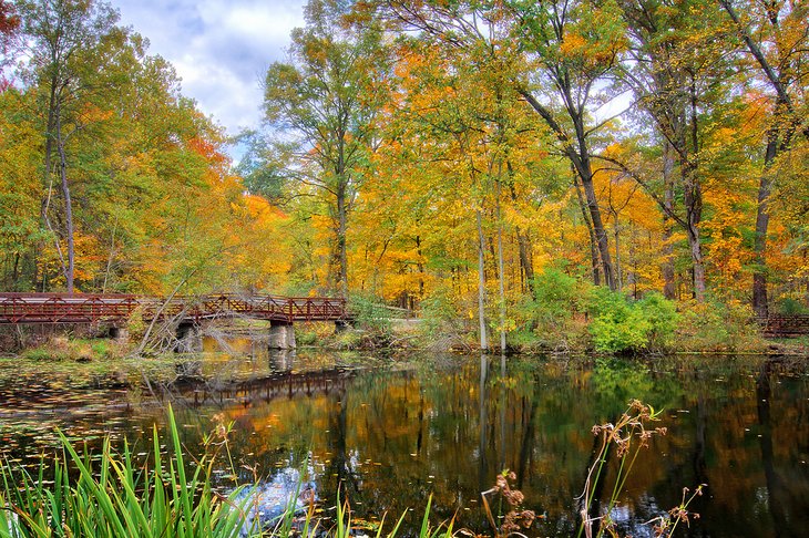 Mallard Lake in Oak Openings Preserve