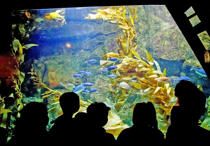 Oregon Coast Aquarium