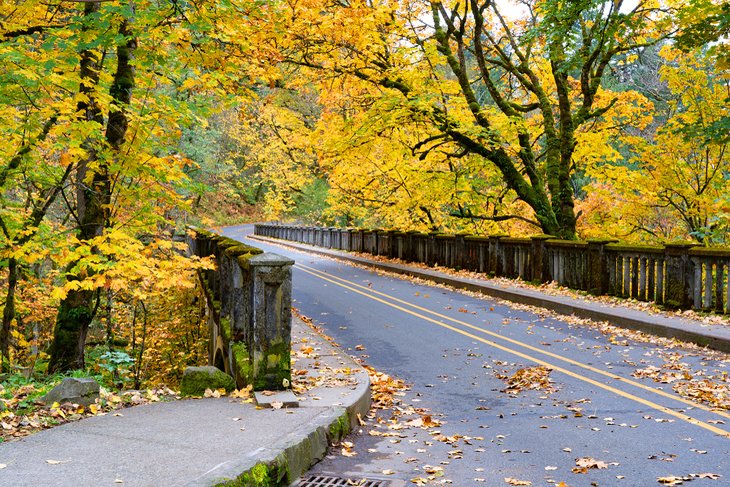 Fall along the Historic Columbia River Highway