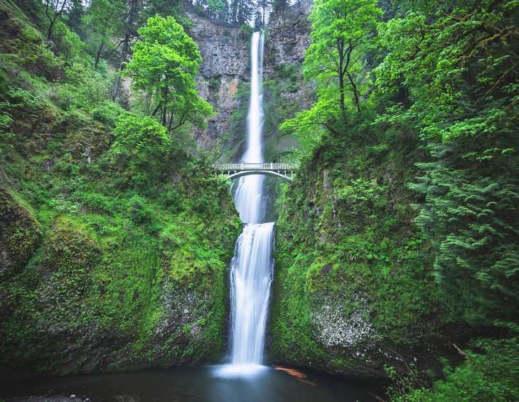 Multnomah Falls in spring