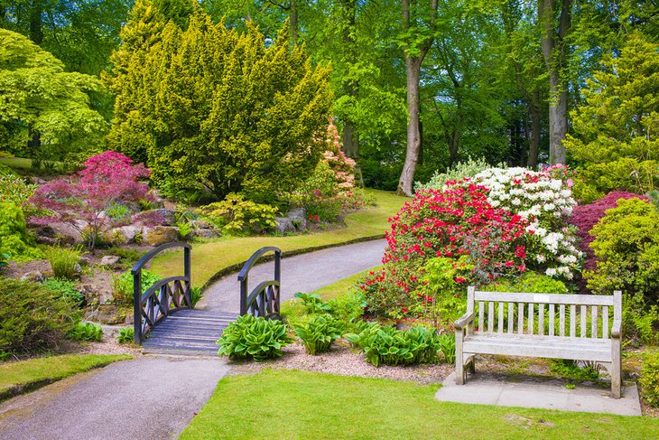 Blooming flowers in Johnston Gardens, Aberdeen