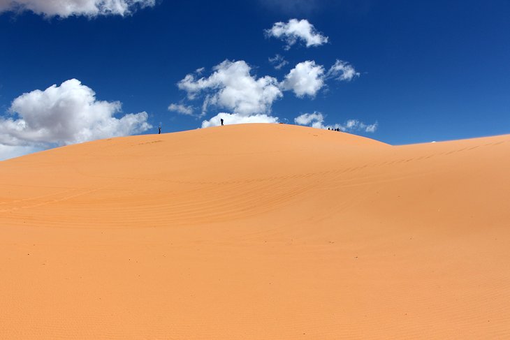 Parc d'État des dunes de sable rose corail