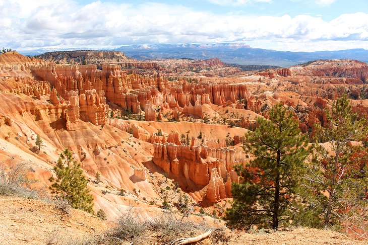 Bryce Canyon National Park