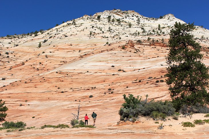 Hikers in Zion National Park