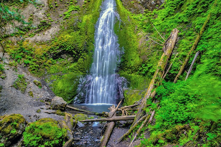Marymere Falls in Hoh Rainforest, Olympic National Park