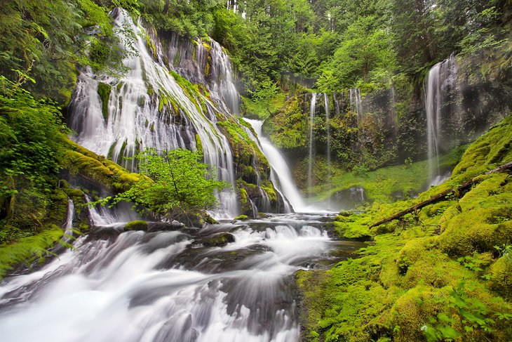 Panther Creek Falls