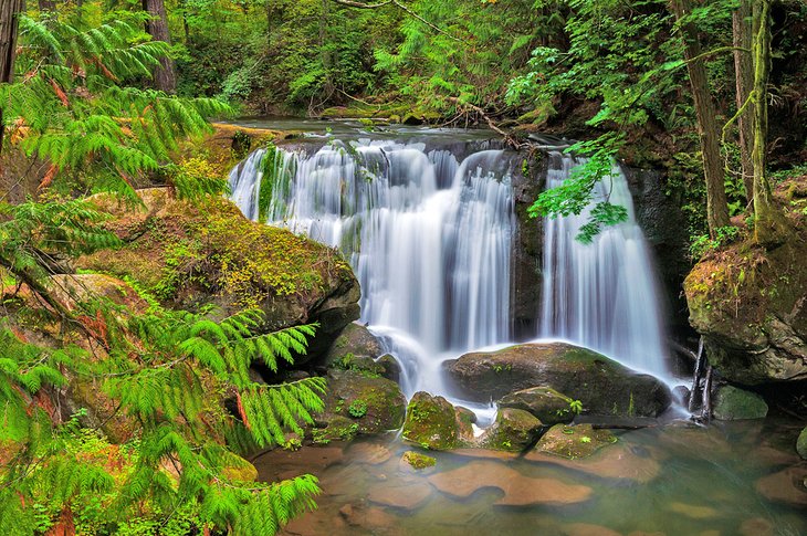 Whatcom Falls Park