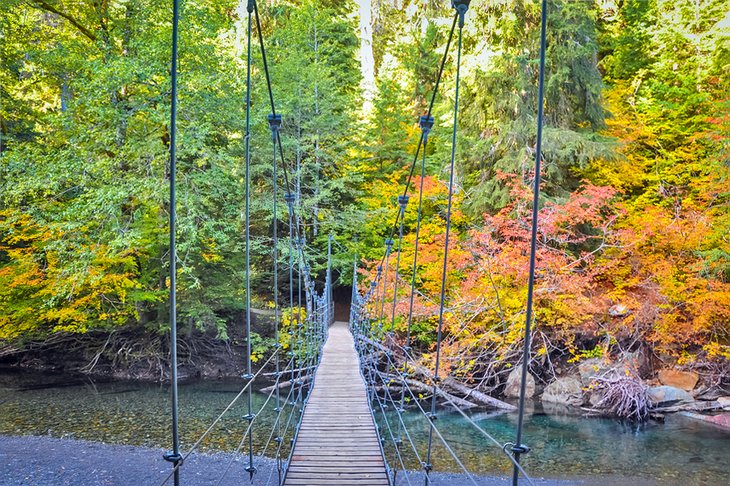 12 caminatas mejor calificadas en el Parque Nacional Mount Rainier, WA