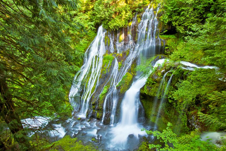 Panther Creek Falls near Carson Hot Springs Resort