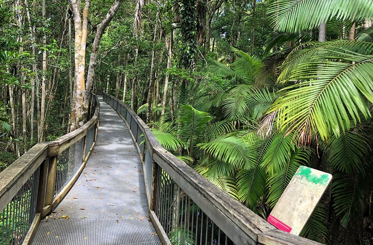 Rainforest Boardwalk in Sea Acres National Park
