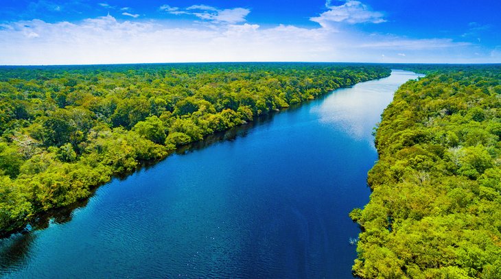 The Amazon River and rainforest in Brazil