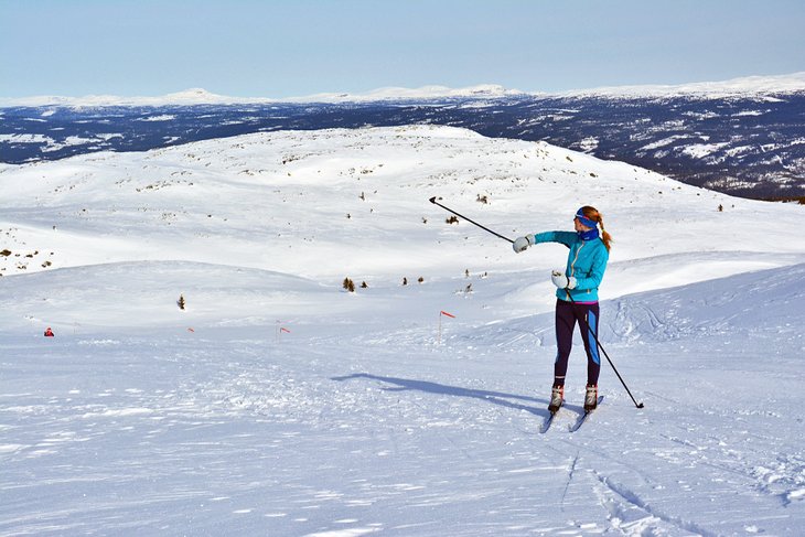 Cross-country skiing near Oslo