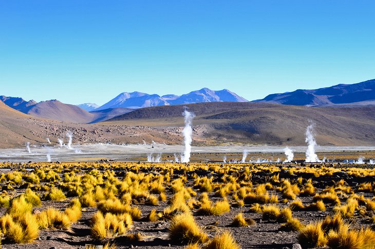 Geysers dans le désert d'Atacama, Chili