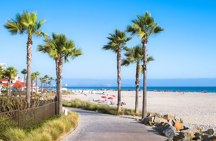 Beach and palm trees in San Diego, CA