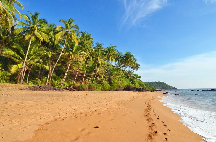 Plage tropicale à Goa, Inde