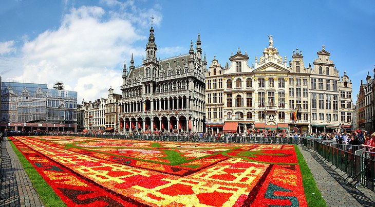 The Flower Carpet in Brussels