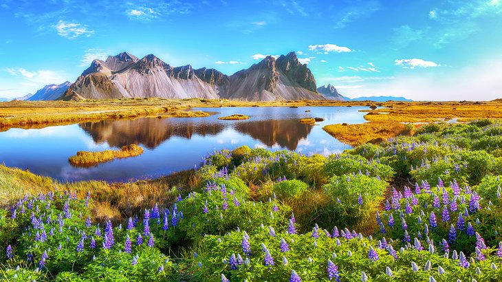 Stokksnes Cape, Iceland