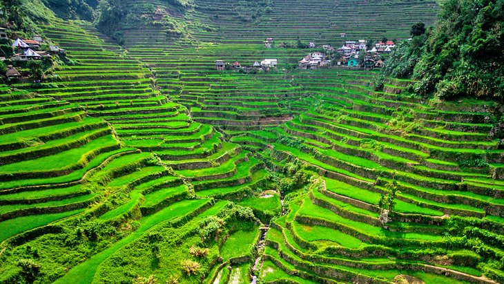 Rice paddies in Ifugao, Philippines
