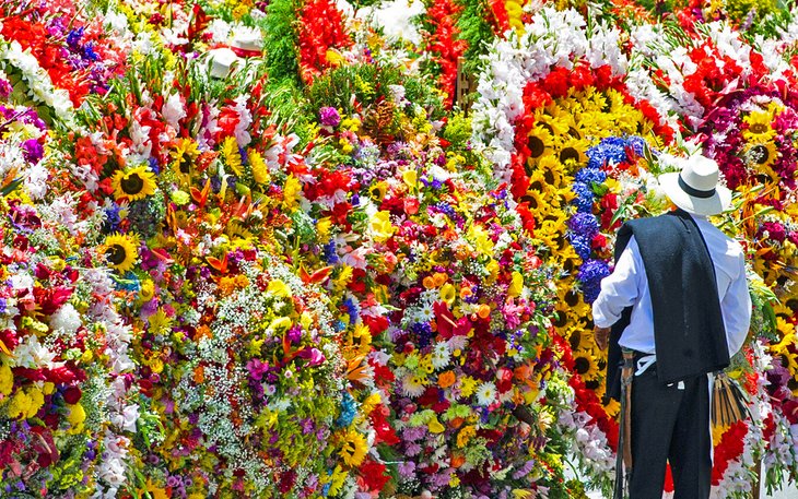 Feria de las Flores in Medellin, Columbia