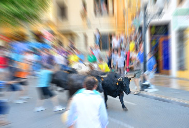 Running of the Bulls in Pamplona