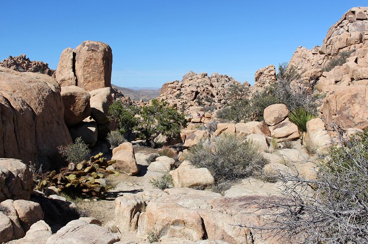 Hidden Valley Trail