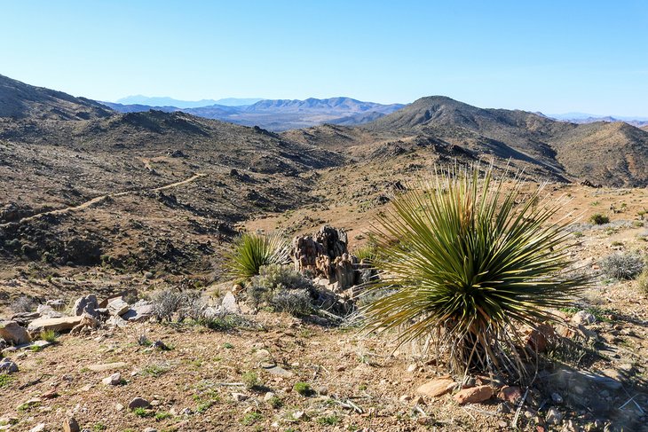 Lost Horse Mine Trail