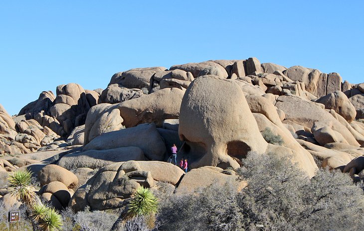 Skull Rock