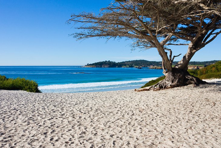 12 playas mejor valoradas en el norte de California